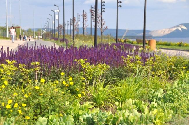 Тольятти市汽车厂区滨水区改造项目丨俄罗斯丨“Гипрокоммундортранс” 研究所,Т.М.创意工作室-17