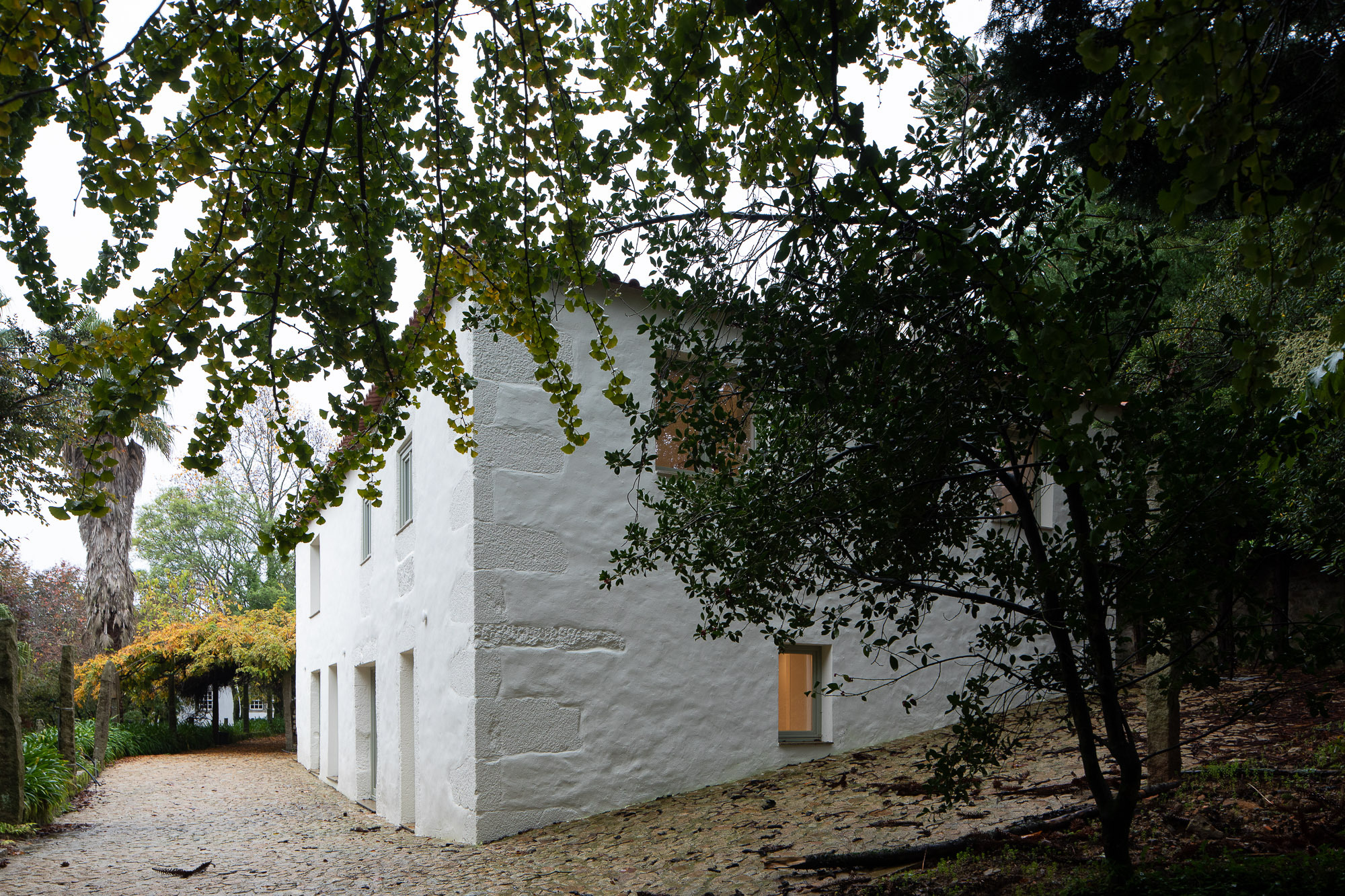 QBN 住宅丨葡萄牙丨Pardo-32