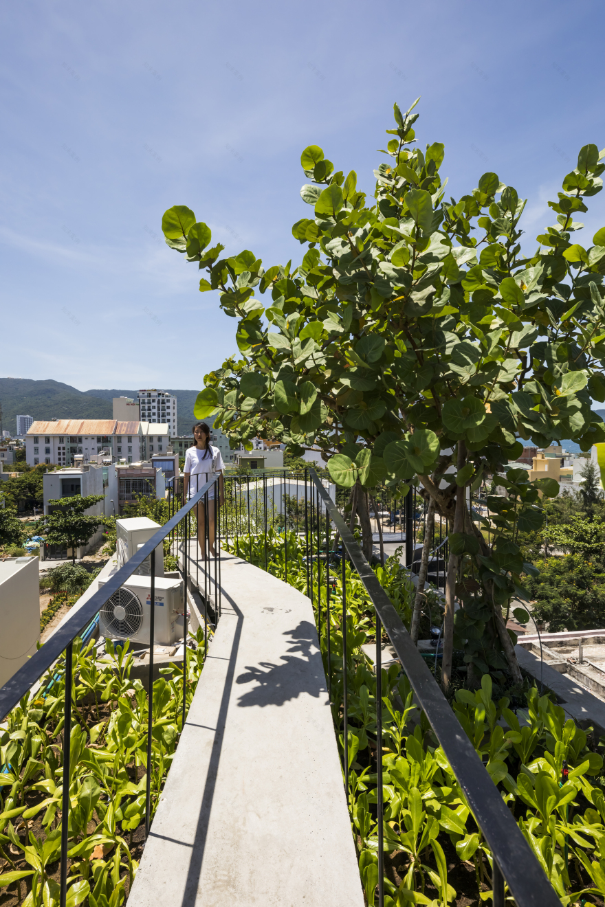 混凝土盒子别墅-7