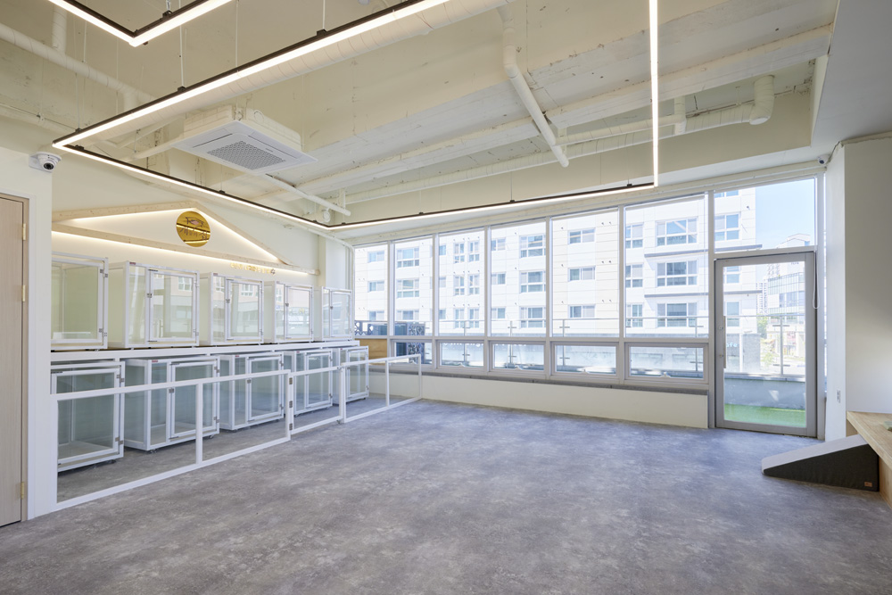 29 平简约爱宠家居，设计费用全解析-5