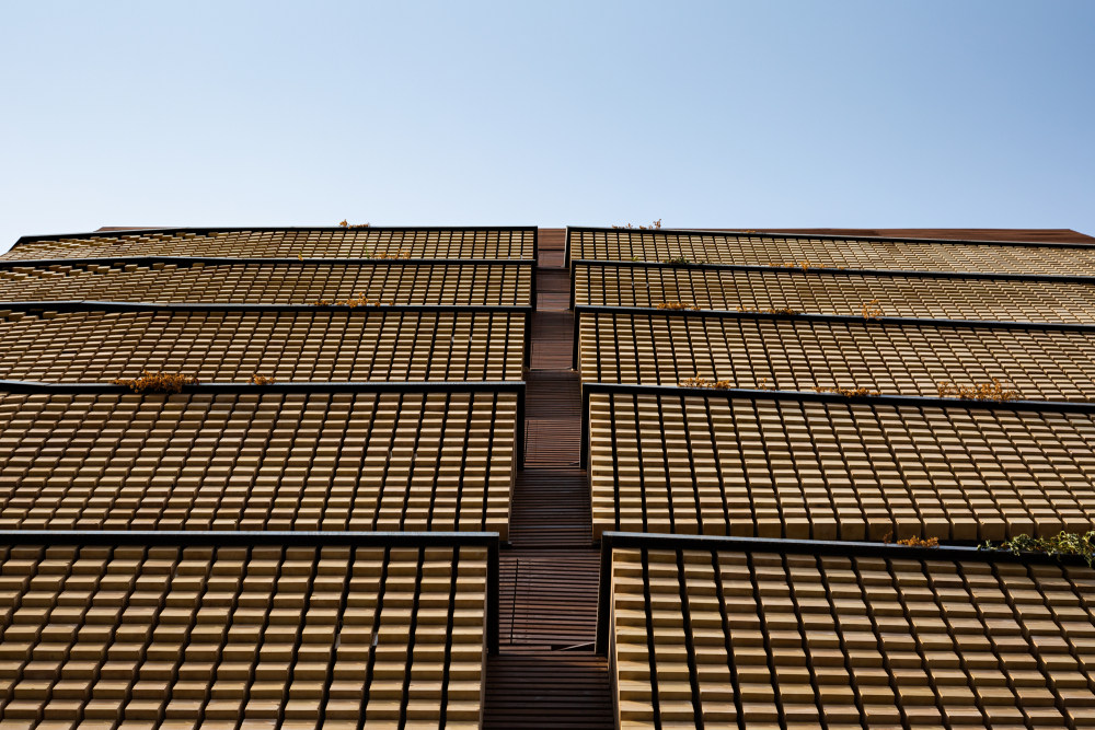 伊朗德兹富尔住宅区设计丨BioDesign Architects-40