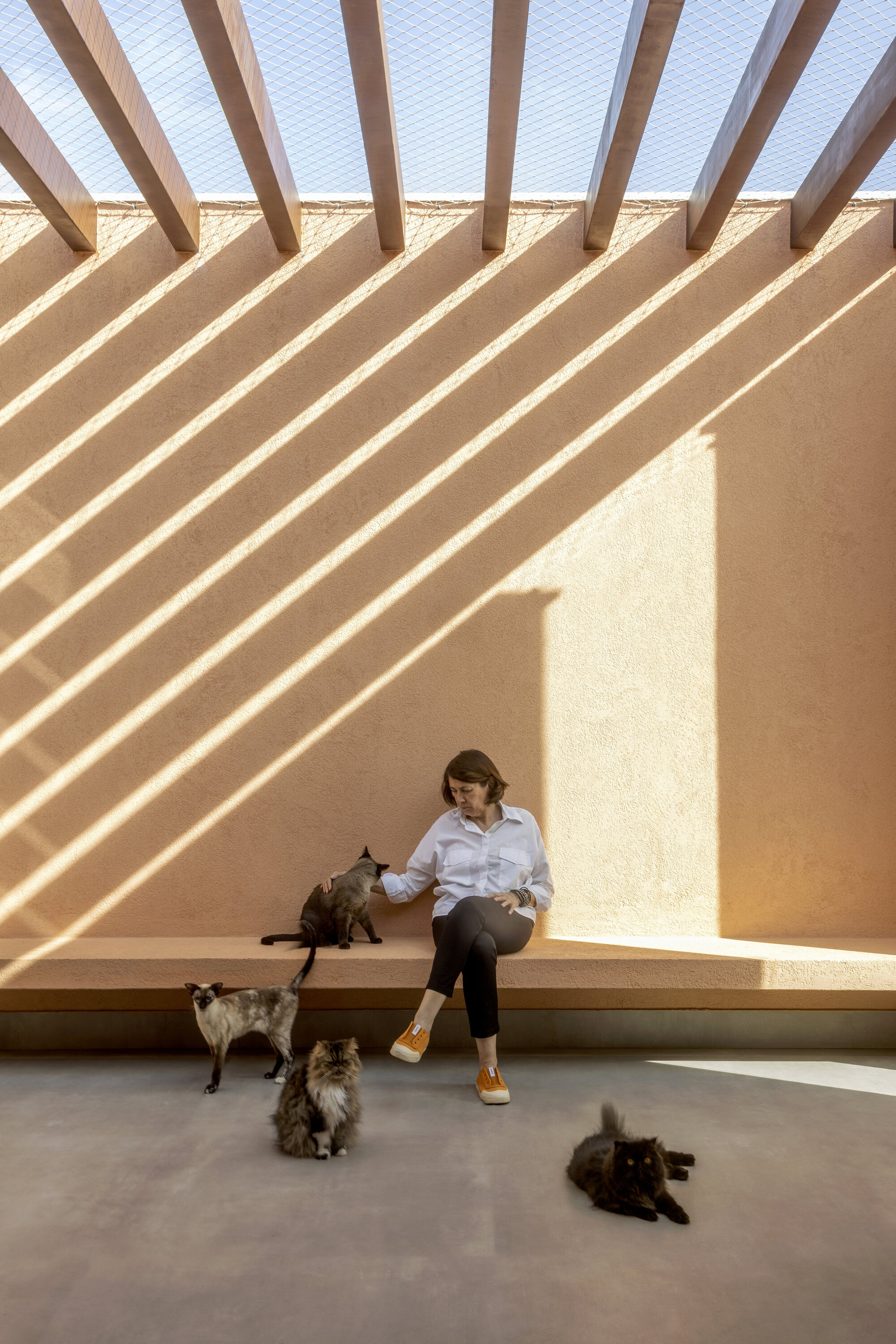 丨巴西巴西利亚丨SAINZ arquitetura-30