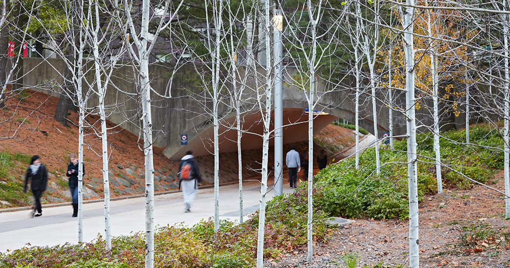 马萨诸塞西南大道改造丨意大利马萨-6