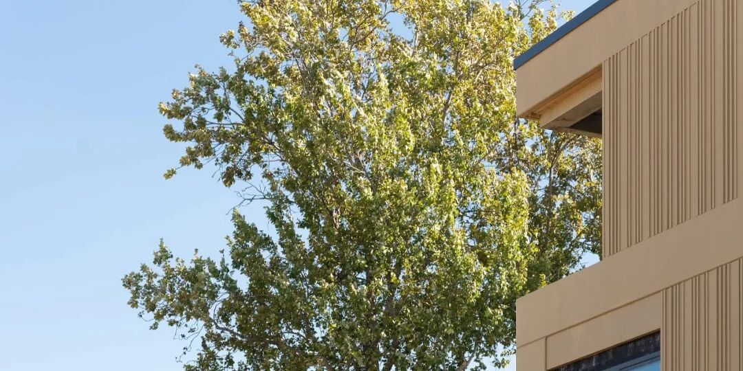 沃拉村：都市与自然的诗意交响-8