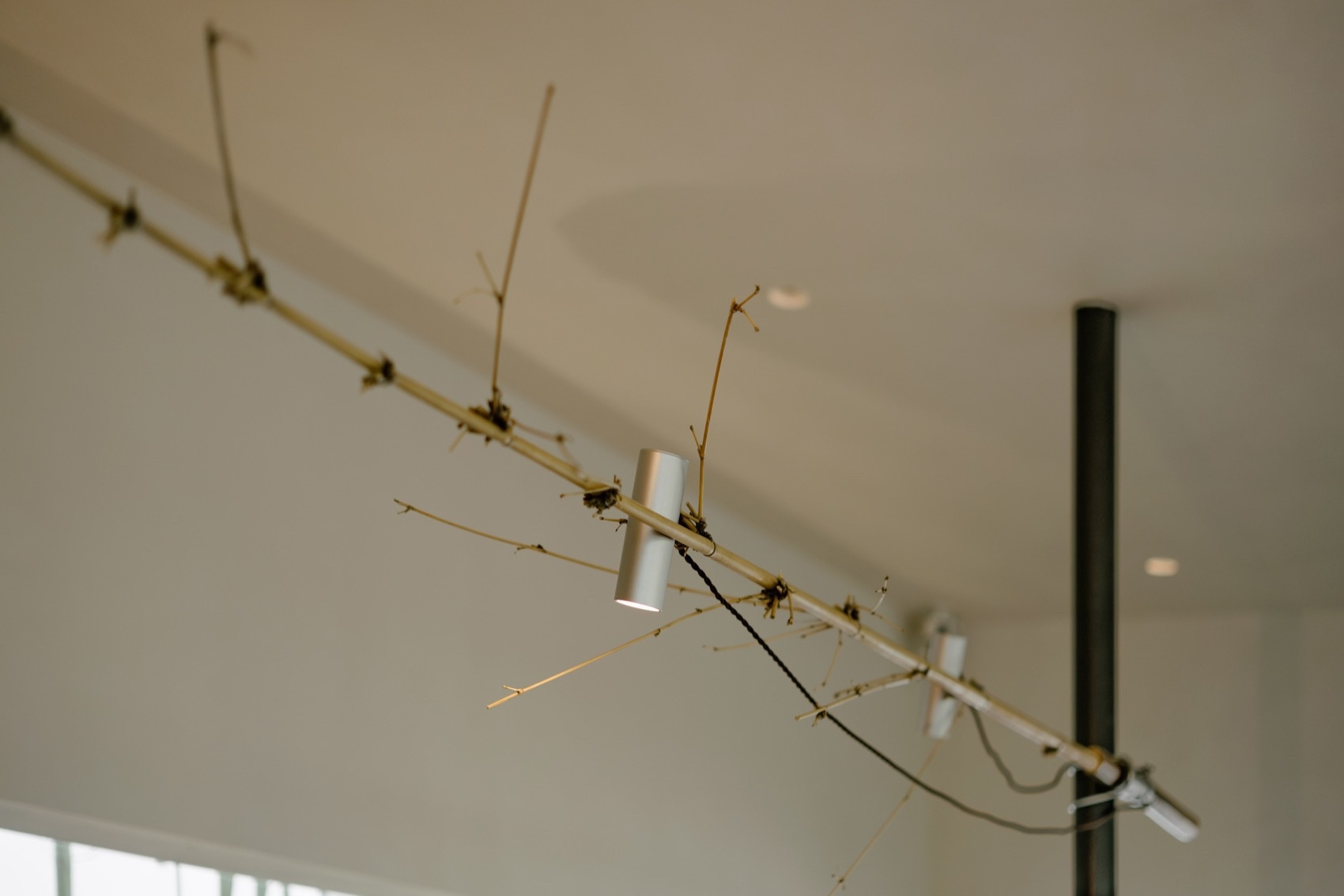 肆意茶聊丨中国海口丨觉得设计-31