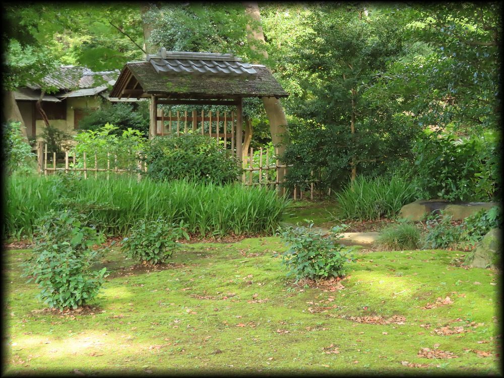 六义园丨日本京都-33