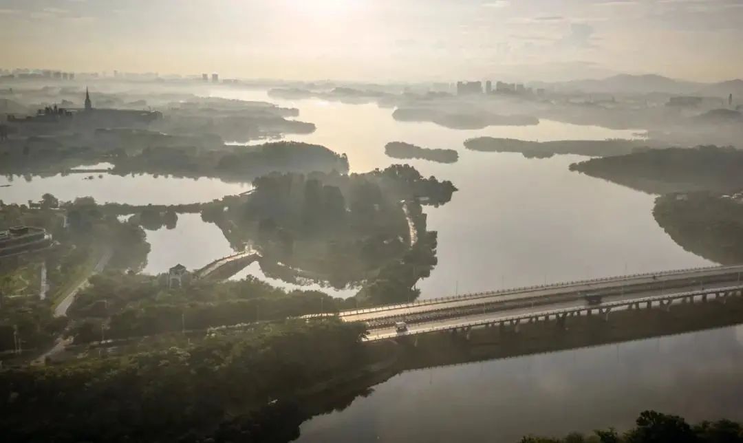 松山湖科技交流平台项目国际竞赛丨中国东莞丨迹·建筑事务所(TAO)-6