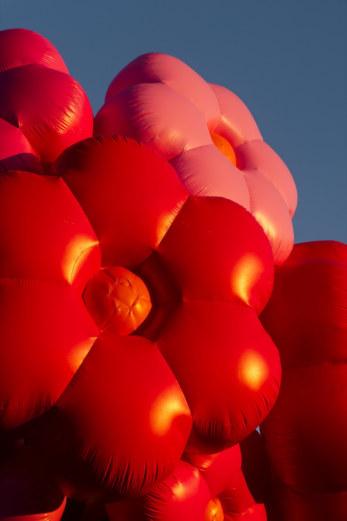 2025年科切拉艺术计划丨Public Art Company（PAC）等多位艺术家-113