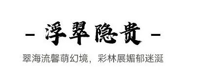 上海华发建发·缦云（示范区）丨中国上海丨深圳市派澜景观规划设计有限公司-7