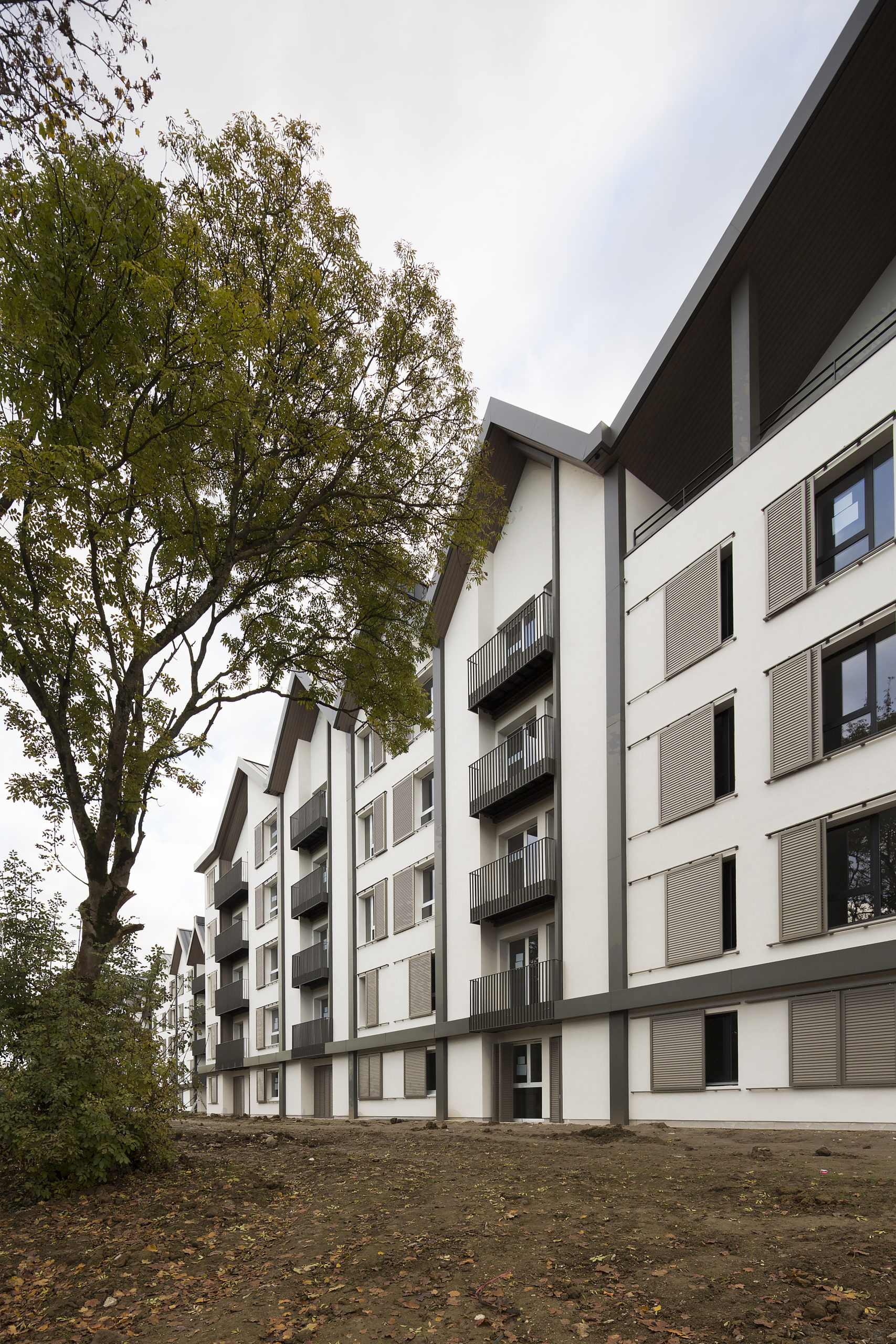 Quai de la Borde - Wilmotte & Associés-28