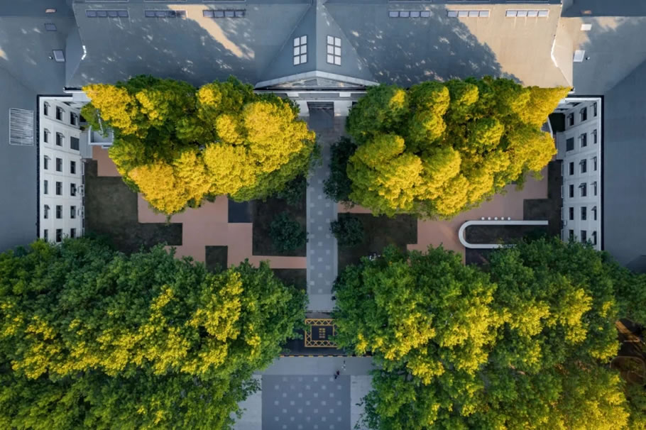 金地·梧桐里(南师大玄武科技园)丨中国南京丨LAURENT罗朗景观-32