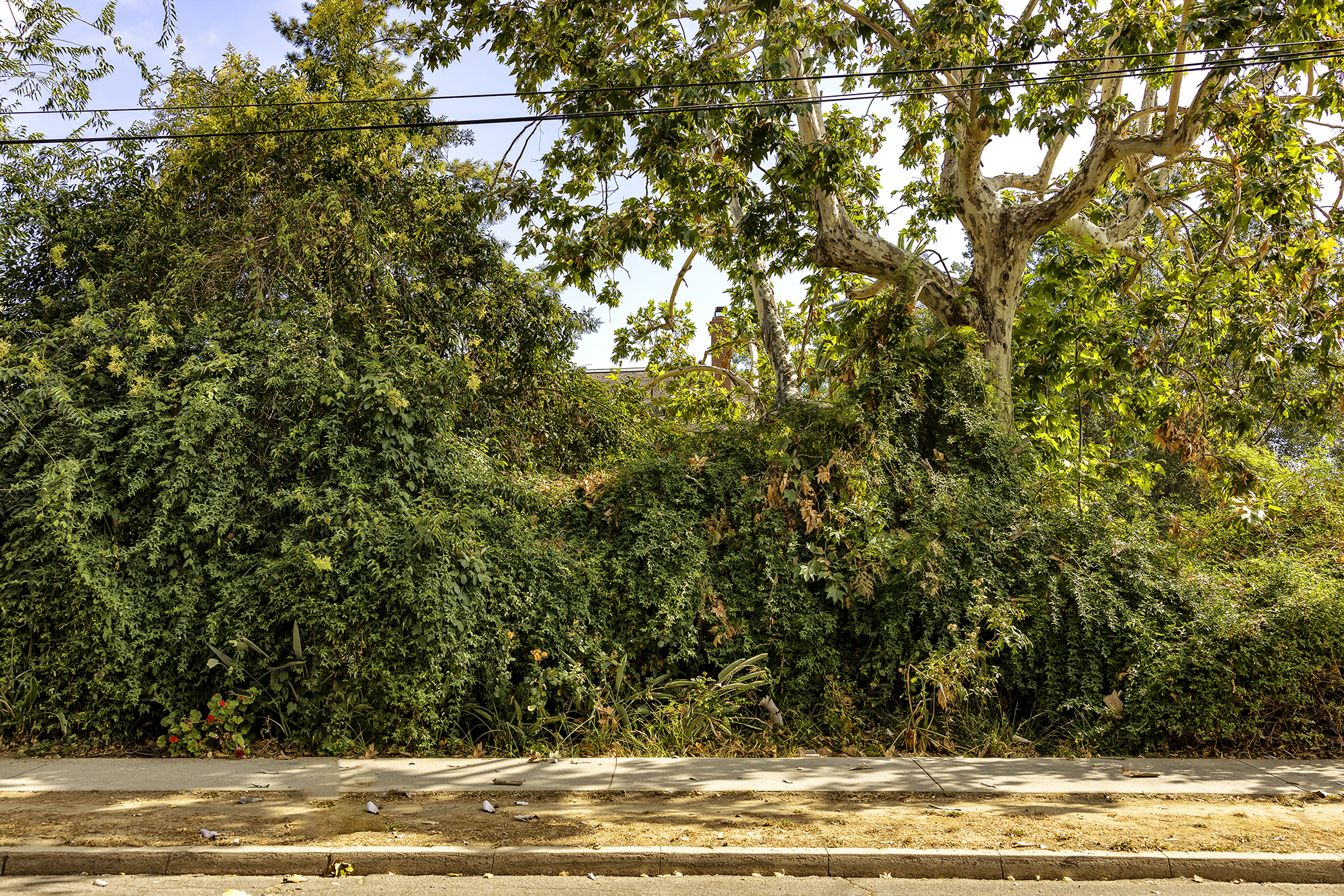 Trees and the Homes They Shade: 4-4