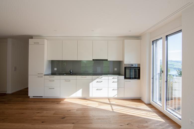 哈尔维利湖住宅区丨瑞士丨RP Architekten AG-5