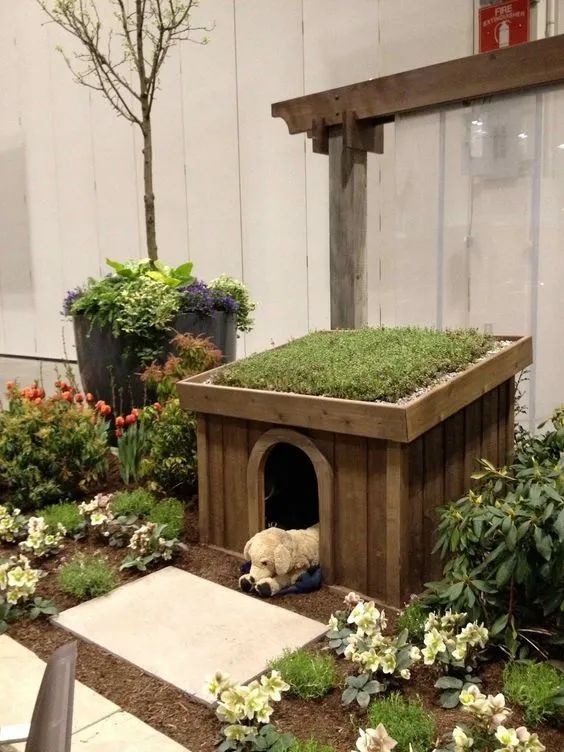 庭院宠物之家 | 打造宠物宜居的户外空间-31