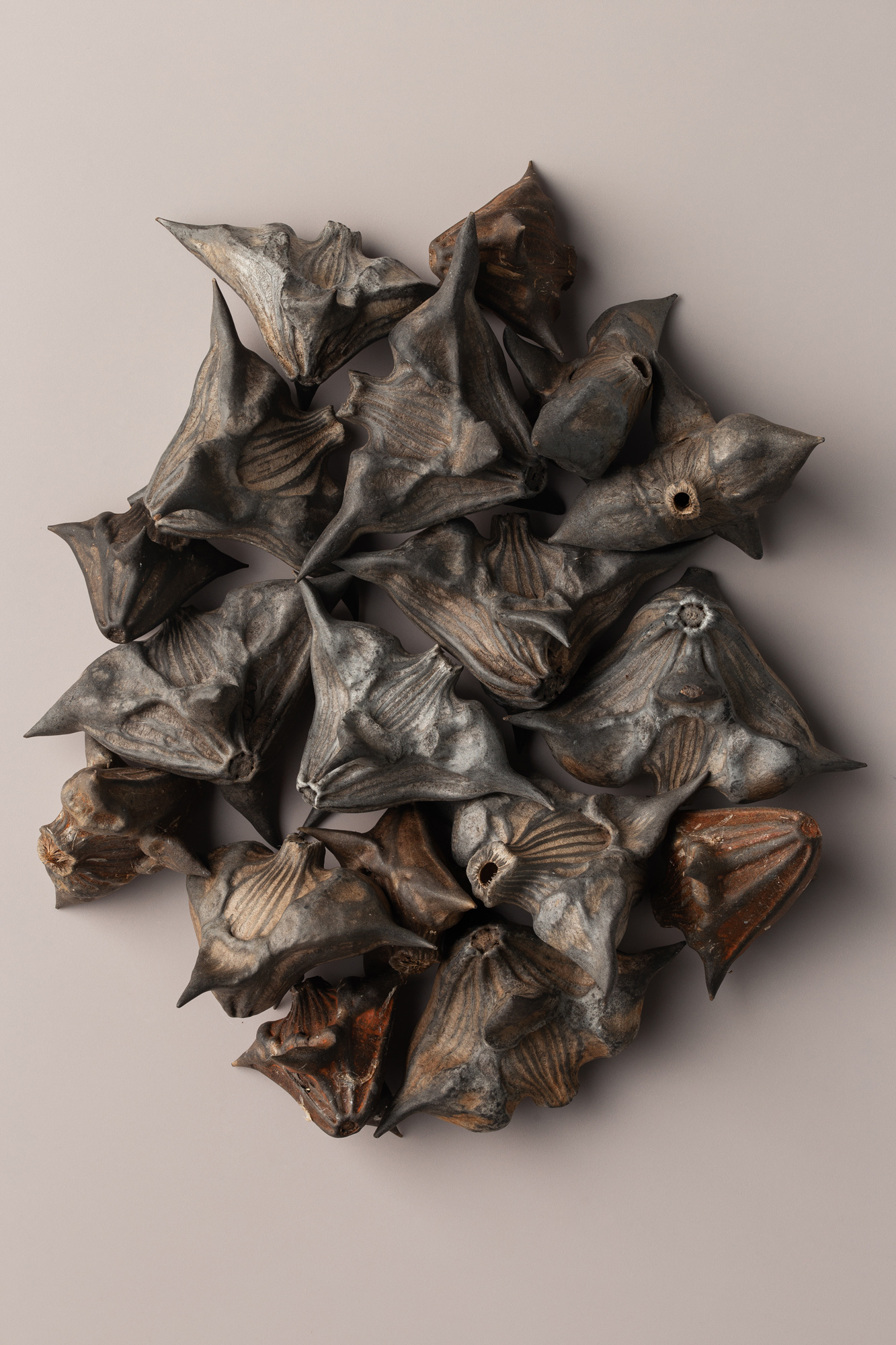 TorriPhoto摄影创作项目-32