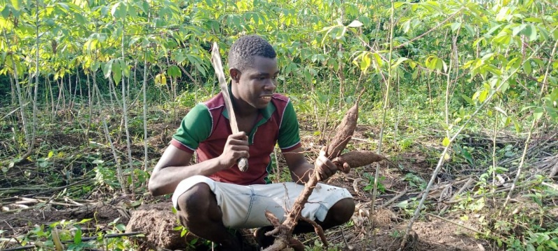 丨Niger丨Journeyman International-57