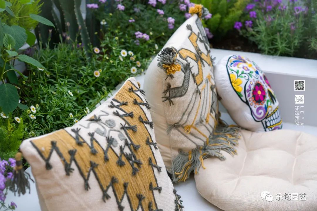 媚媚猫咪的摩洛哥阳台花园丨乐梵园艺-37