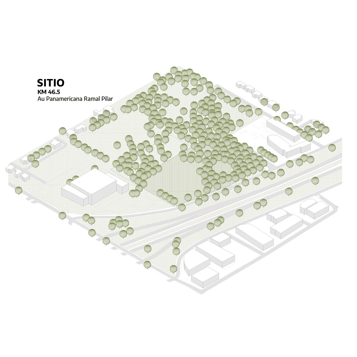 阿根廷森林中的办公园区 | MSGSSV 办公室设计-28