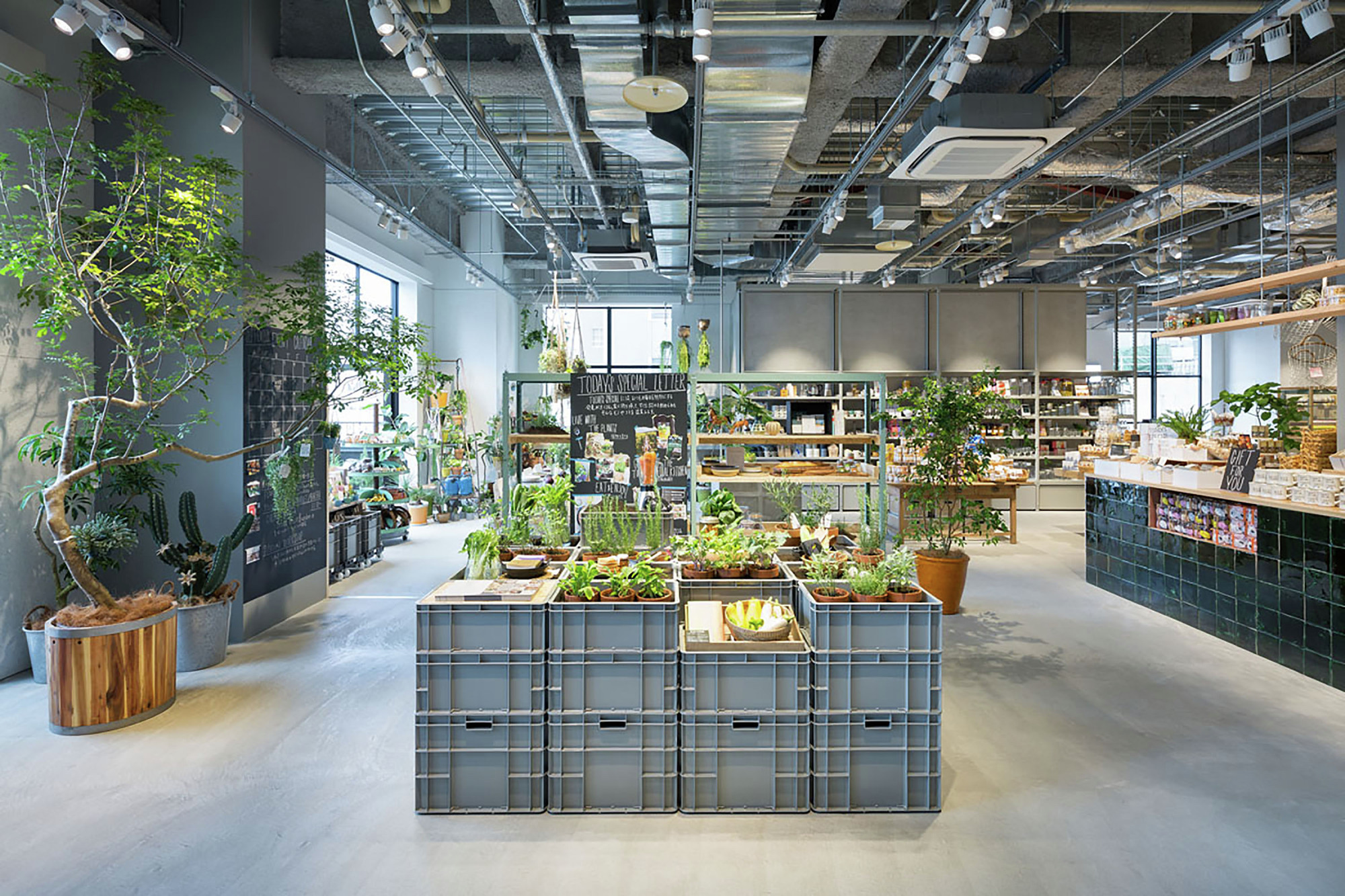 今天的特别京都-0