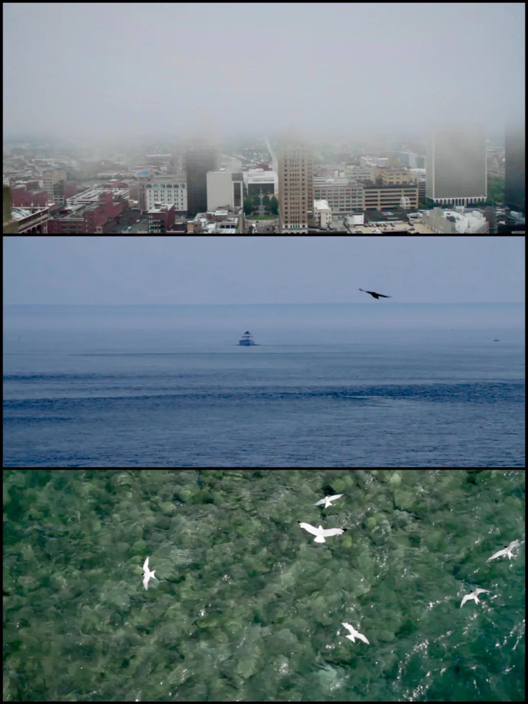 森林小屋 · 上海55平老房子变身诗意空间丨中国上海丨屋主琪琪-93