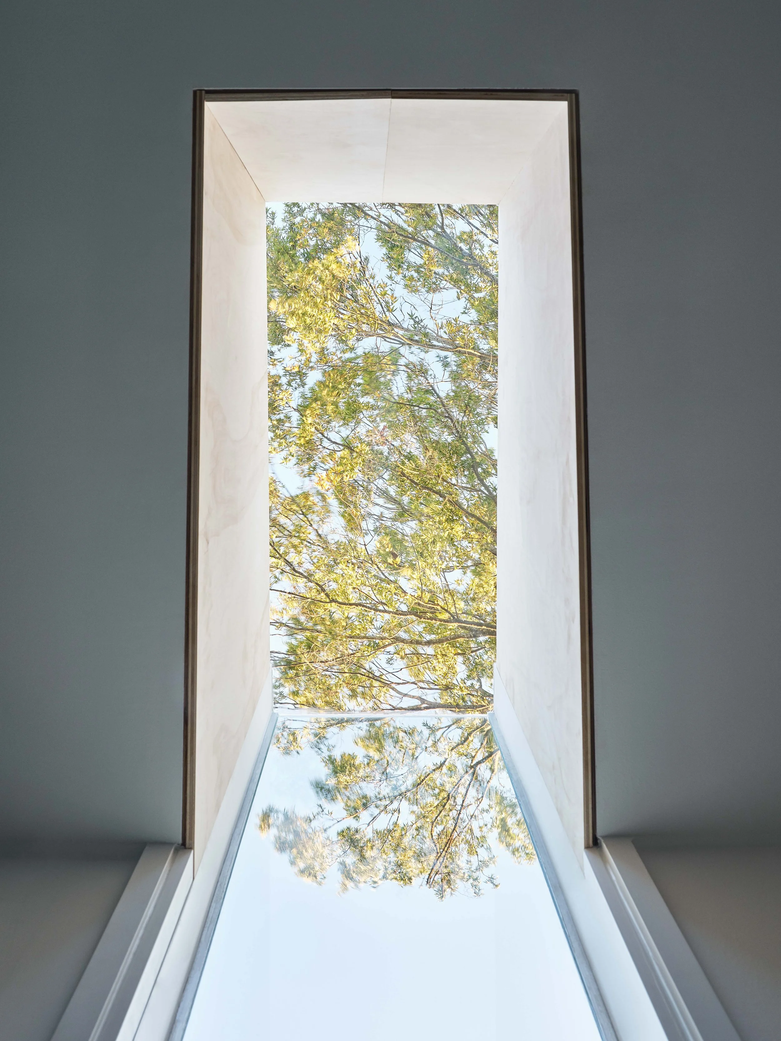 斯蒂尔·路易丝丨美国夏洛特-14