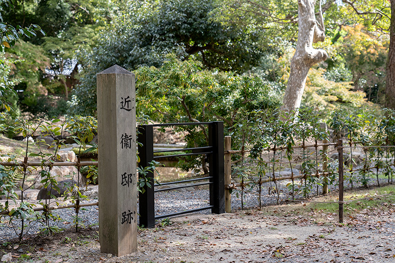 近衞邸跡池泉庭園丨日本京都-5
