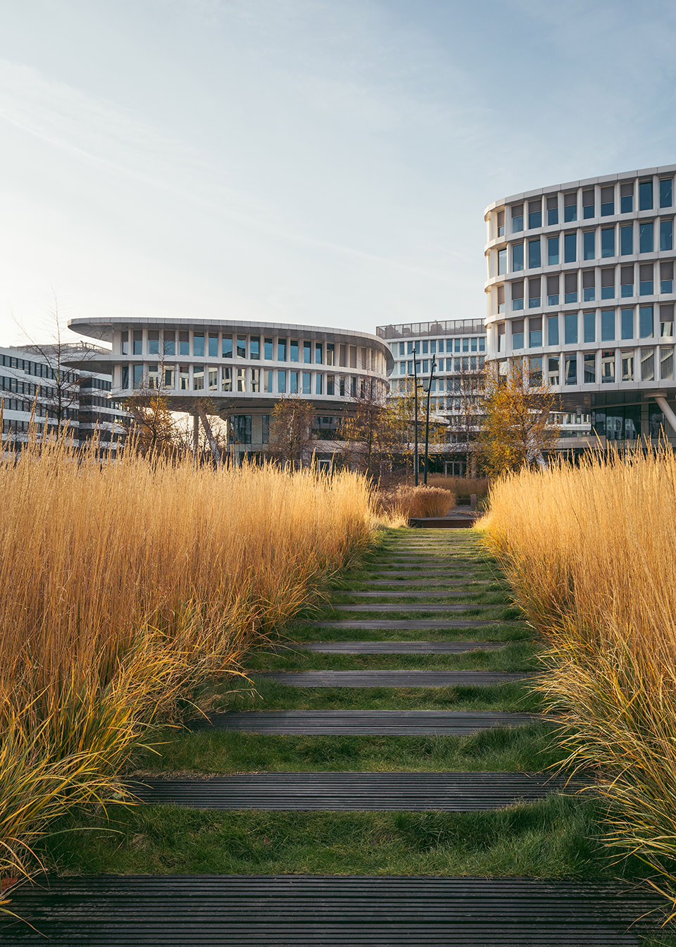 华沙商业花园丨波兰华沙丨FUKSAS 事务所-58