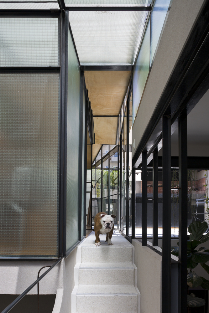 中庭公寓的透明改造-40