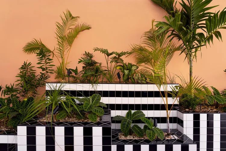 自然与设计的完美融合-68