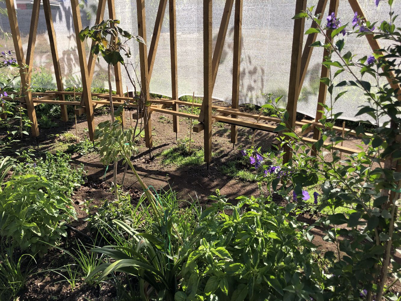 智利 El Otro Cielo 展馆-21