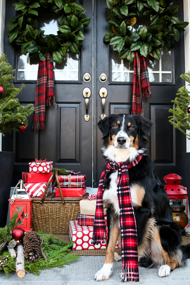 雪白圣诞 | 红色点缀的温馨家居设计-7