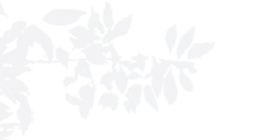 新城郡未来·现代风家居的温暖演绎-2