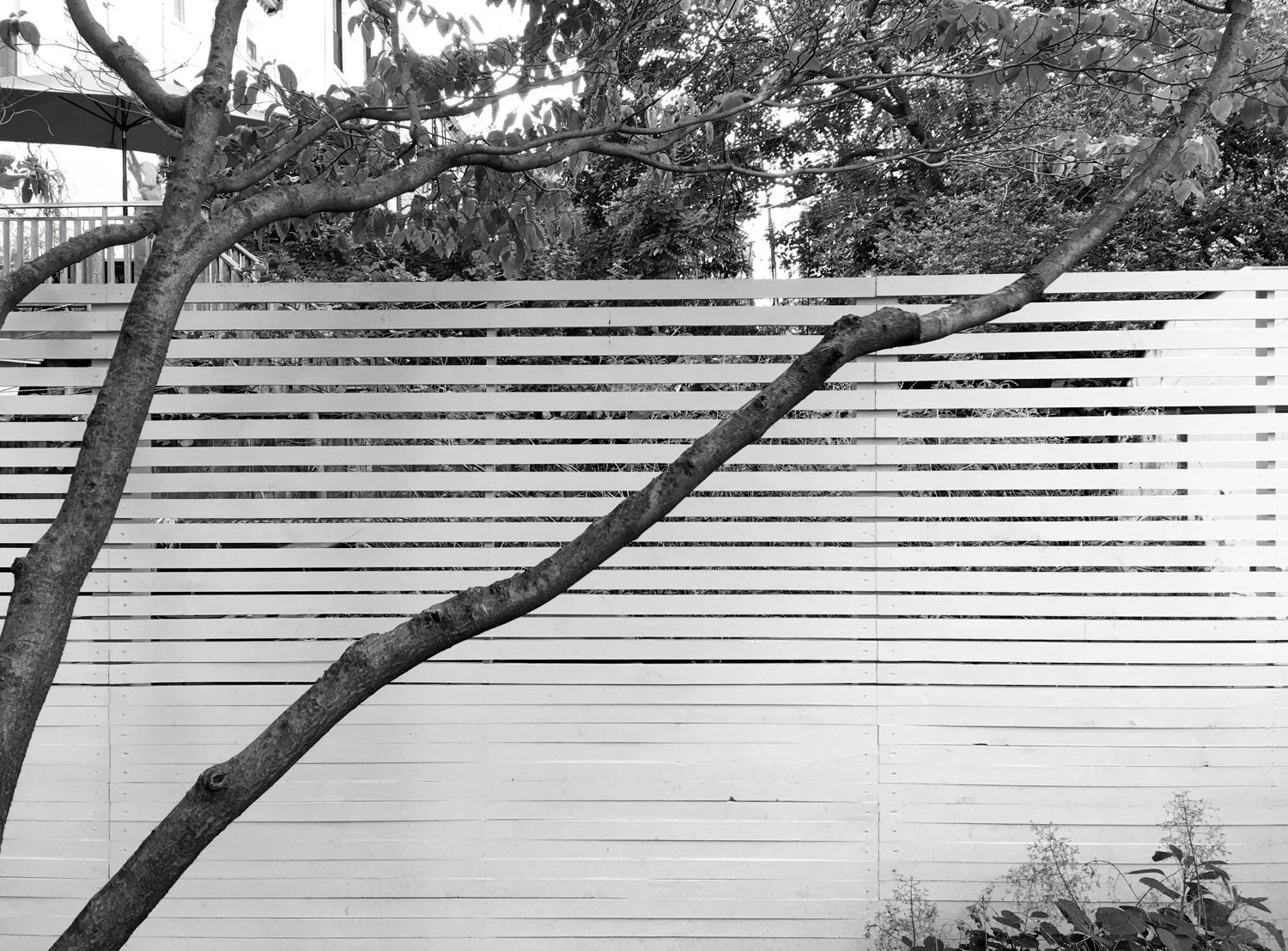 地形作品 三联画花园丨United StatesJersey City-7