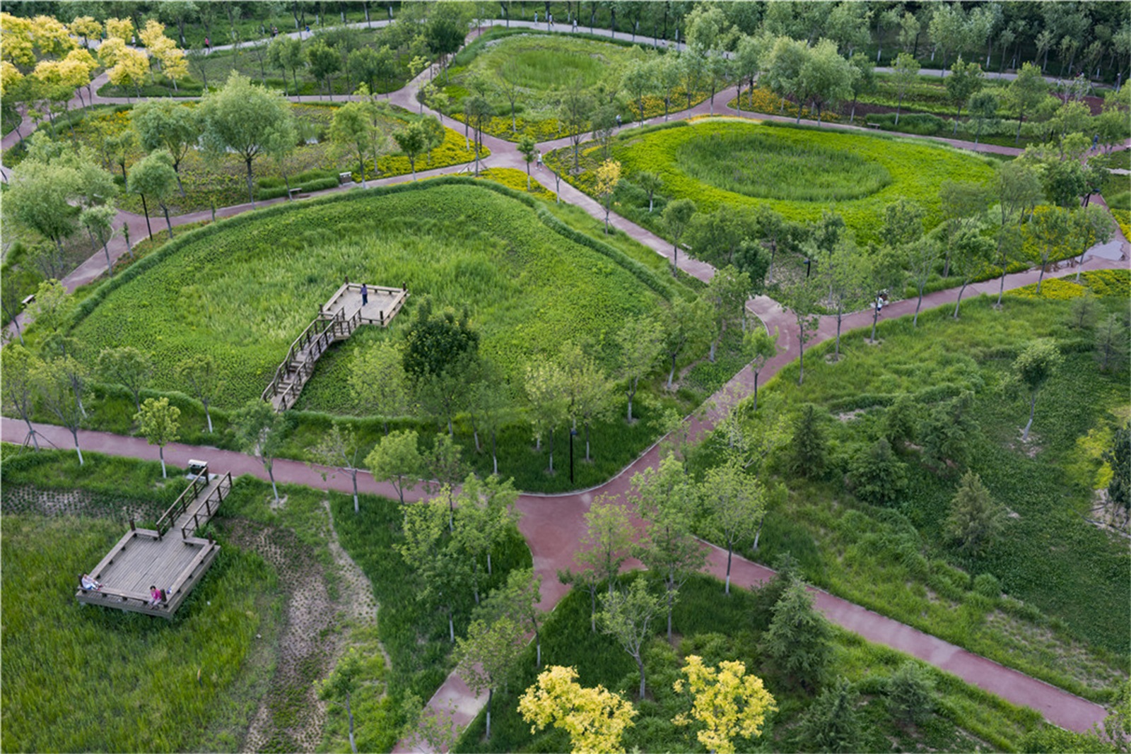 西安雁南公园（二期）丨中国西安丨土人设计（Turenscape）-194