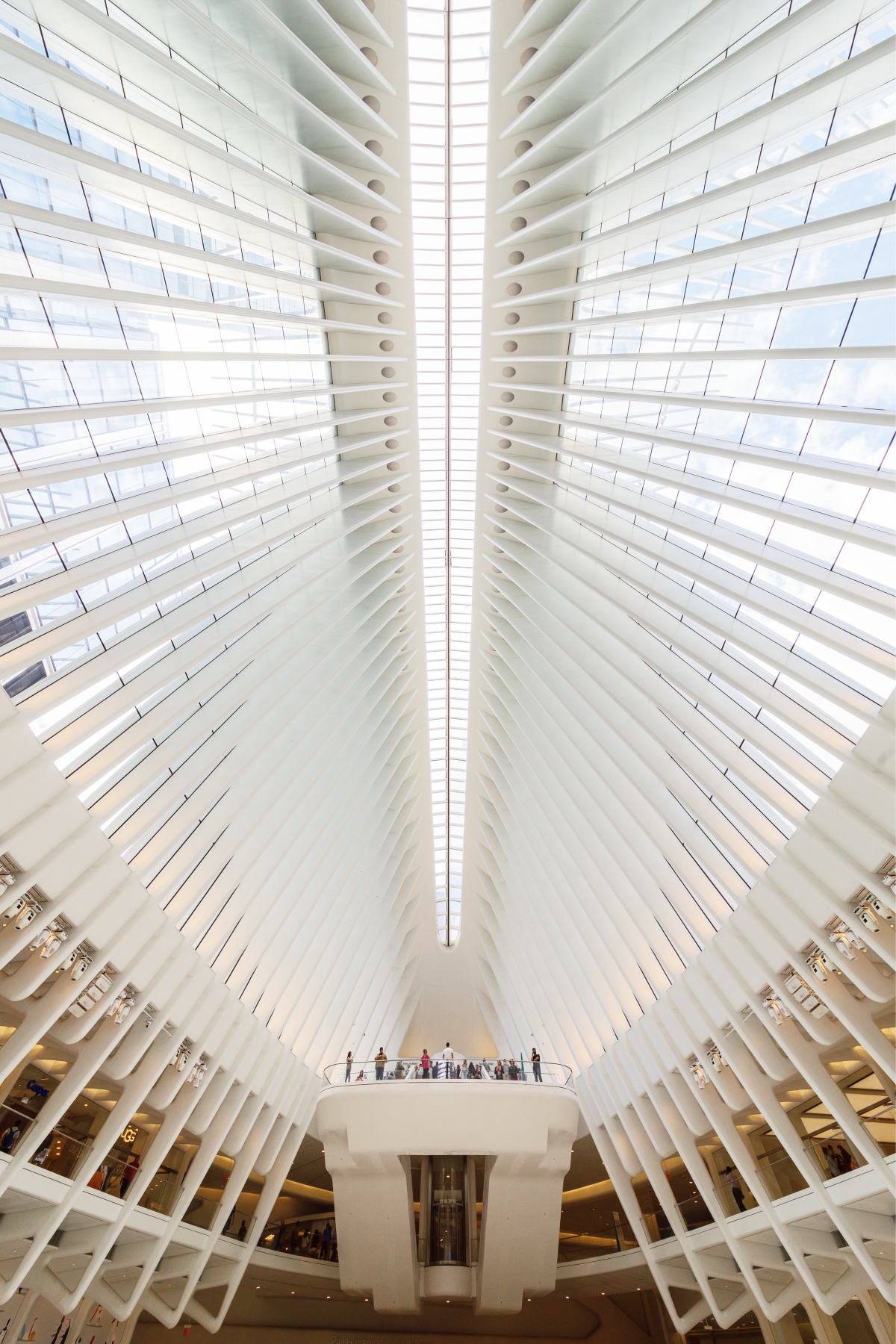 向上看！建筑摄影-19