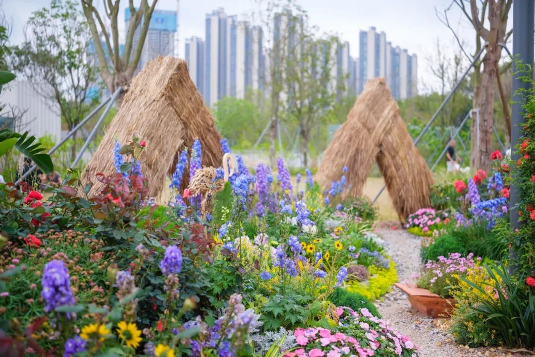2024粤港澳大湾区花展主会场 | 深圳笔架山体育公园-10