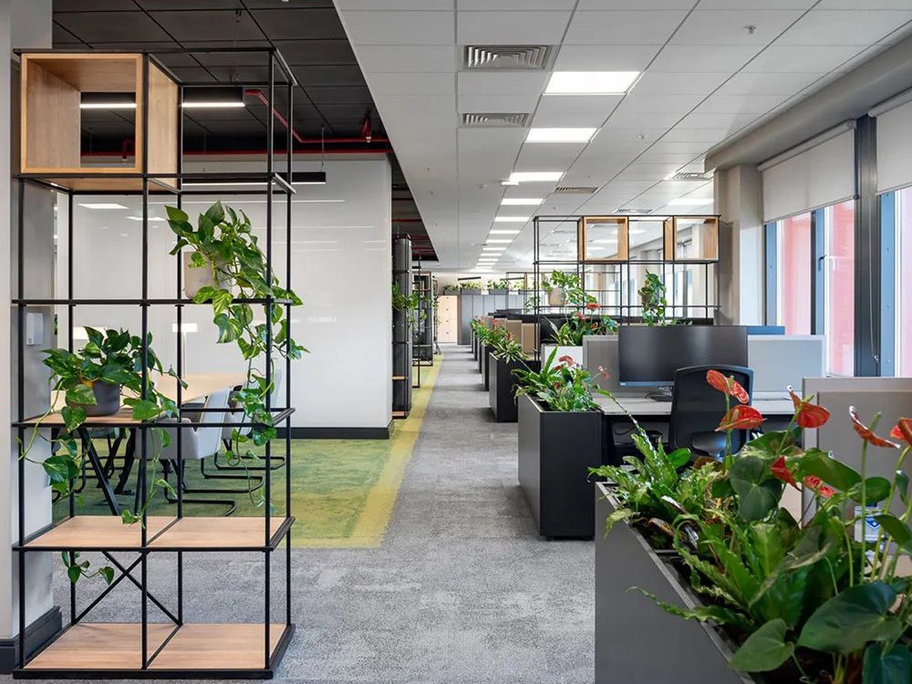 爱尔兰制药公司办公空间-2