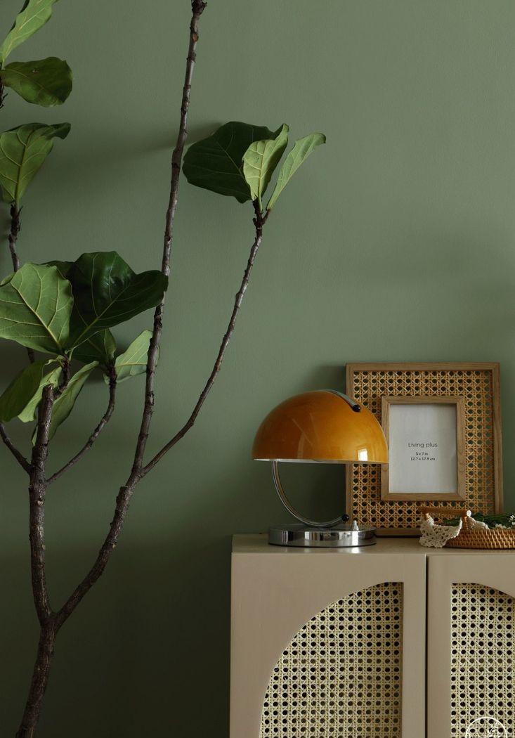 平层住宅的清爽绿意变身丨清羽设计-28