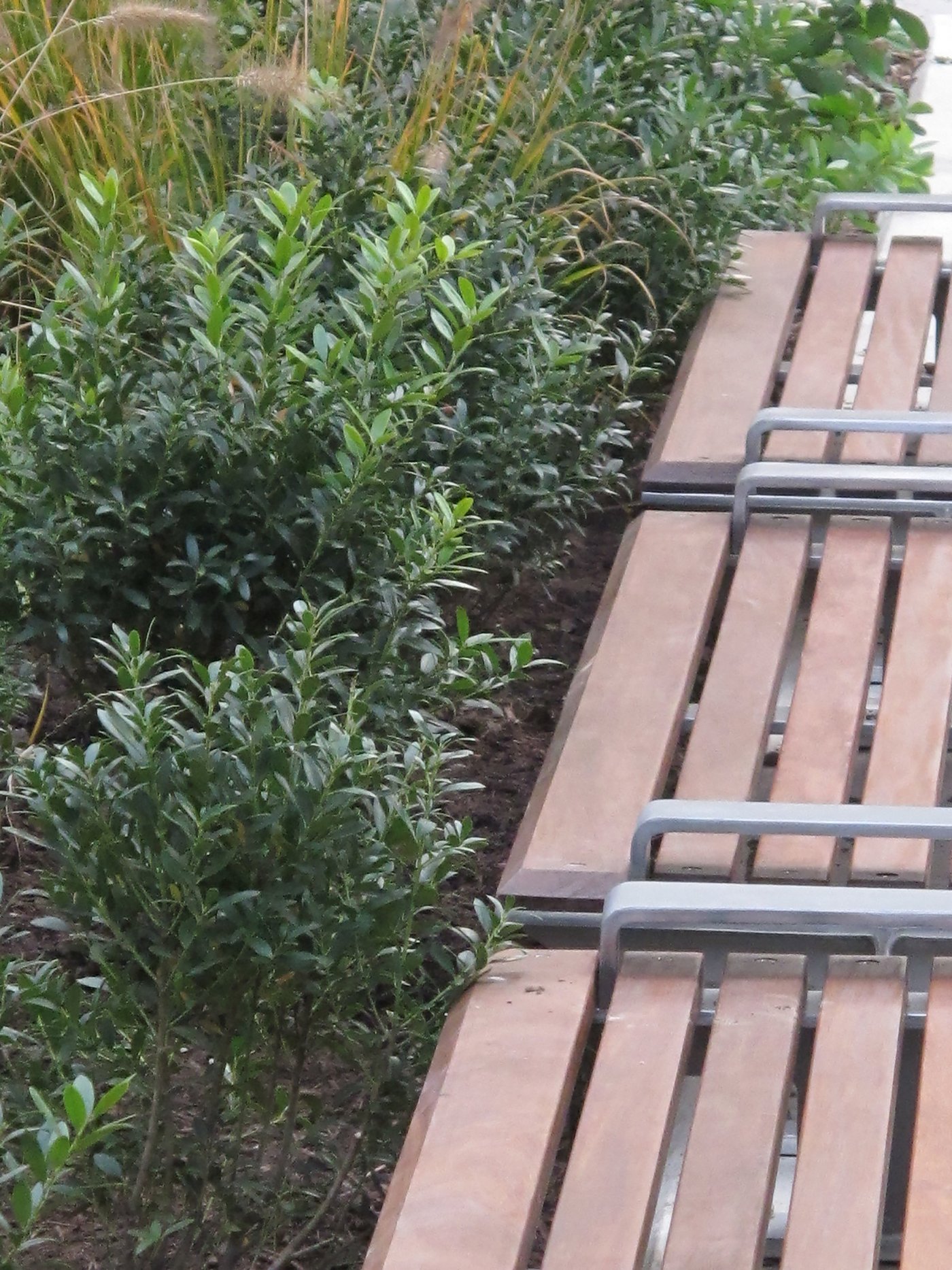 Projects - Mercer Street Plaza -5