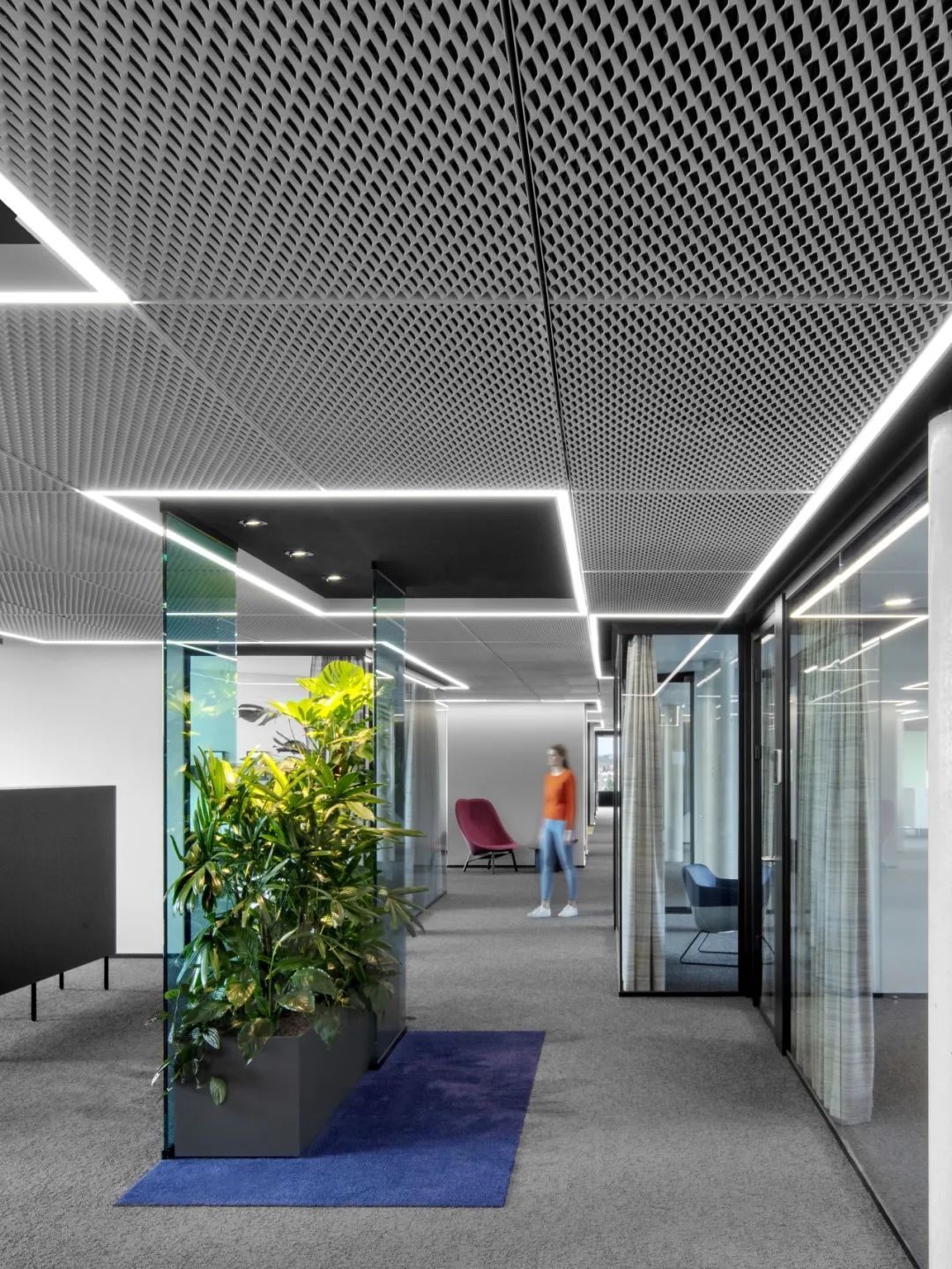 彩绘施瓦本文化，打造现代办公空间-58