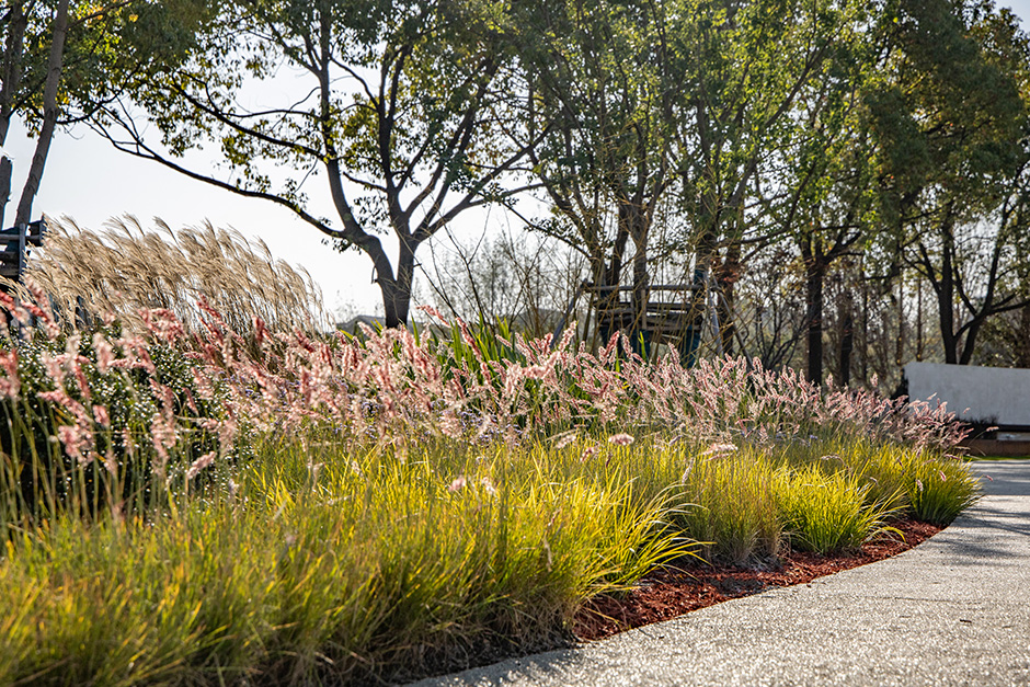 上海天辰生命科技城花香花园丨中国上海丨L&A设计集团上海分公司花香仙境团队及第三项目团队-40