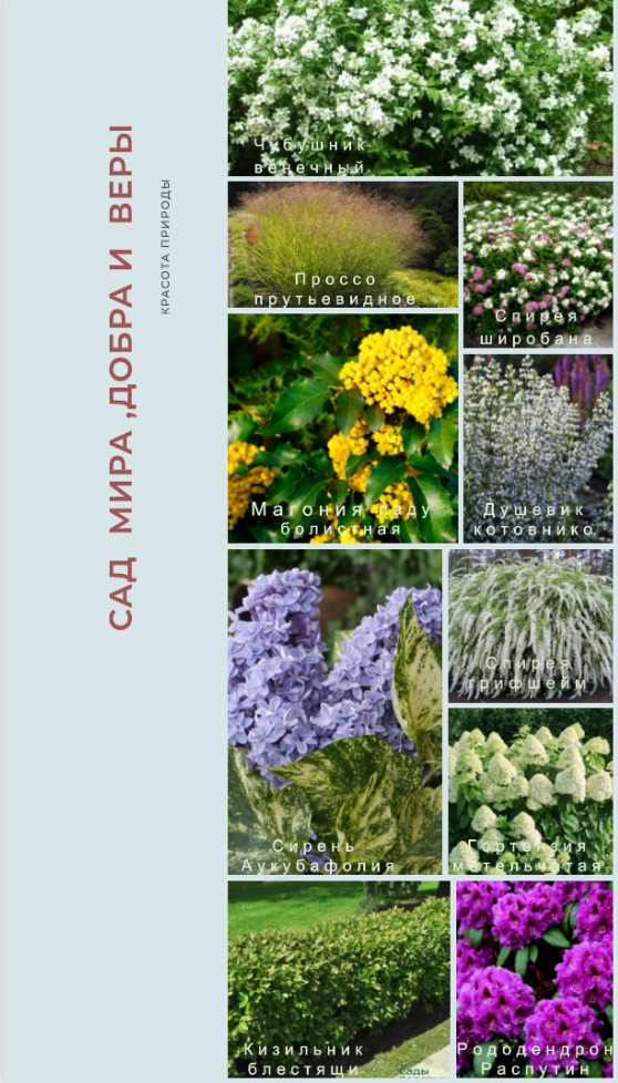 寺庙公共区域设计项目-8