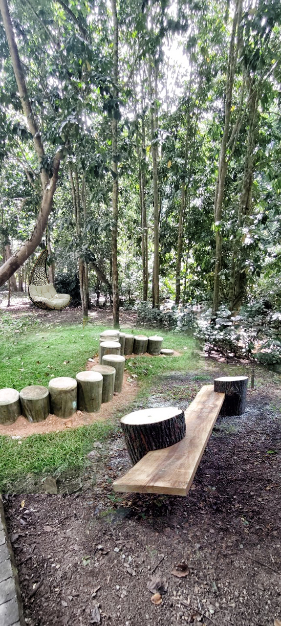 BON BON FOREST PARK CONCEPT-12