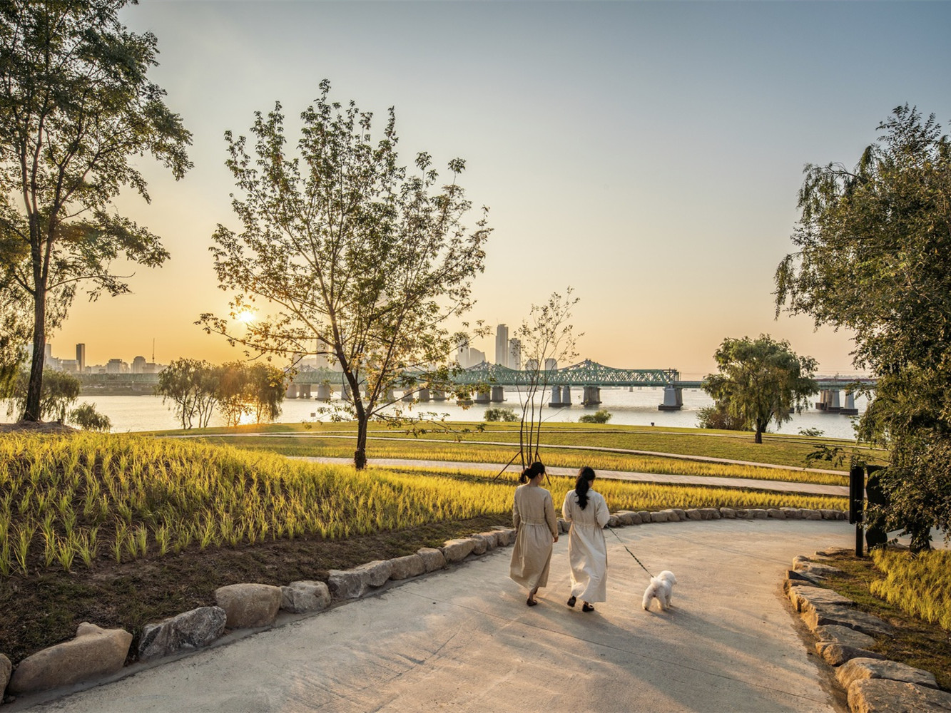 韩国弩督公园丨韩国首尔-2