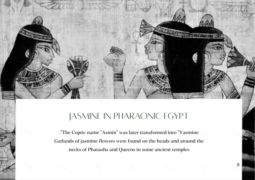 HandiCraft Touristic Village for Jasmine (نور للعالم)-11