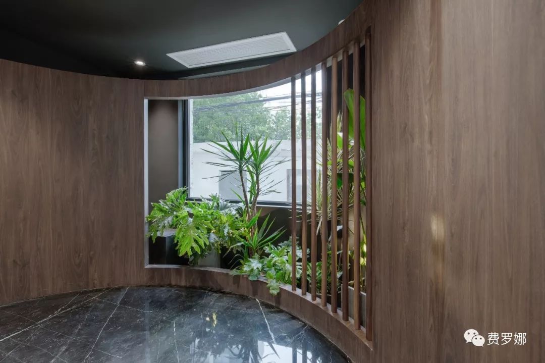 【周六案例放送】在居住楼里，他们只想设计一花一草 | 水泥瓷砖应用-19