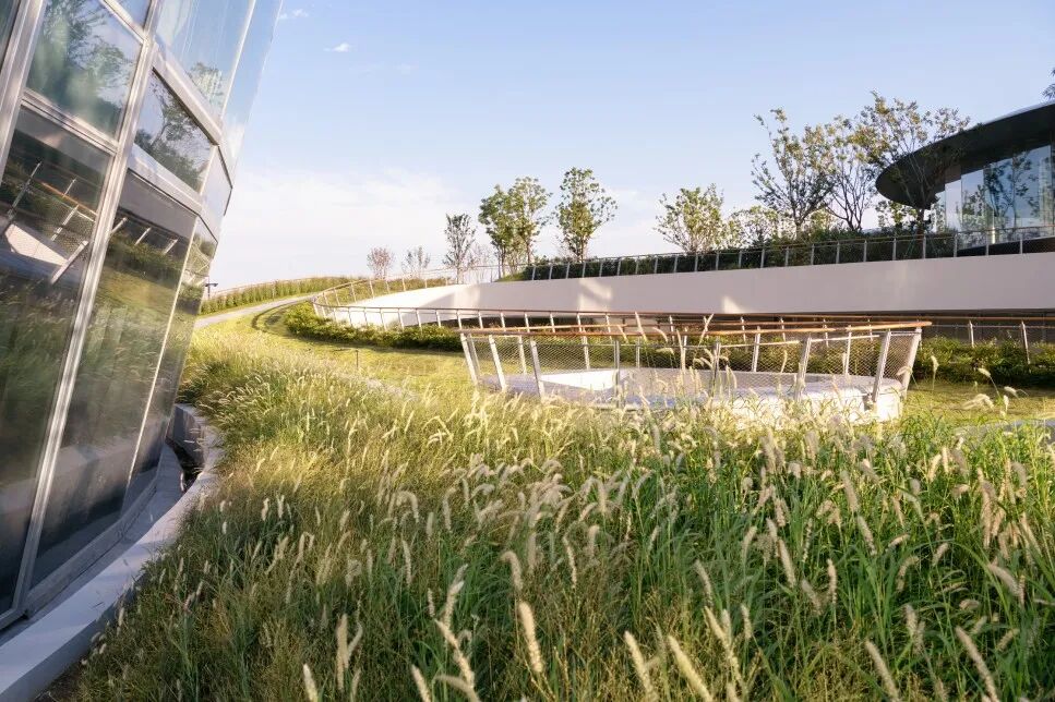 ASLA获奖作品 连接过去和未来的城市绿洲——嘉兴火车站景丨中国嘉兴丨致舍景观-94