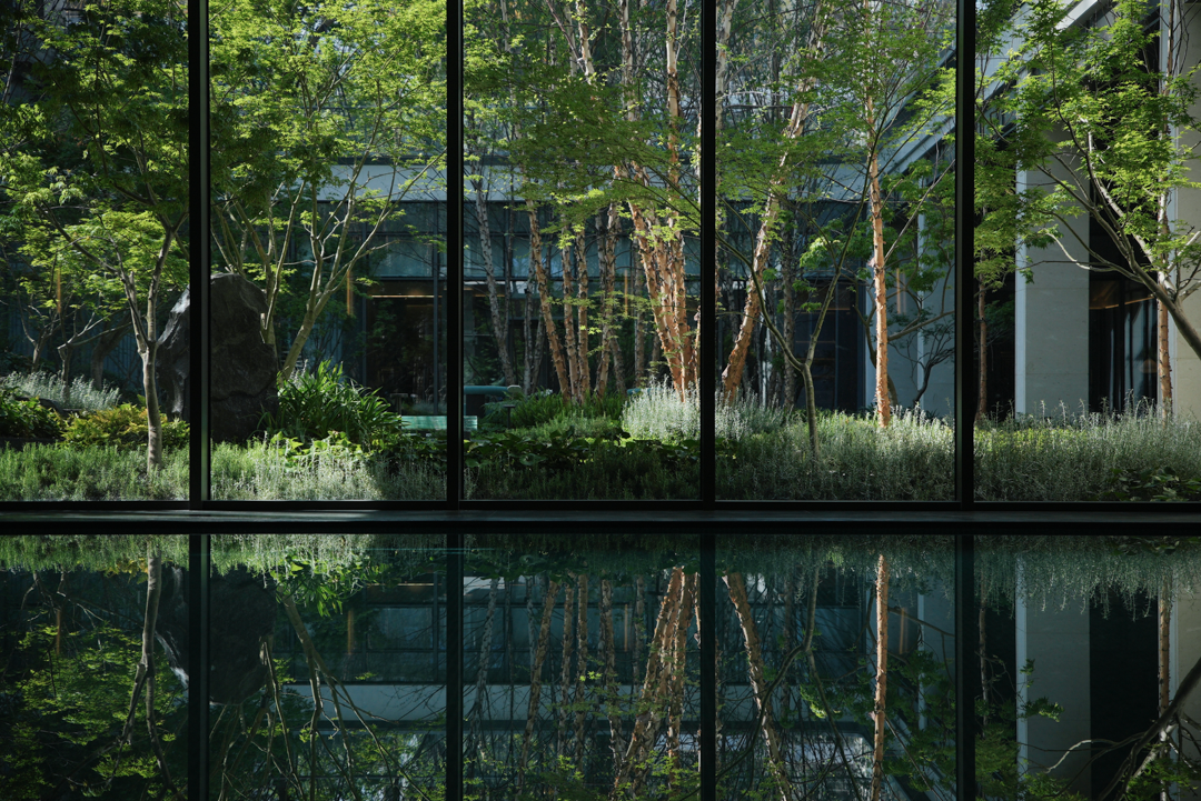 让山林的风，吹向城市|苏州蠡棠森屿-48