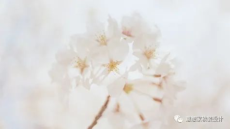 绿城·之江壹号丨中国杭州丨意想家软装徐华佳-13