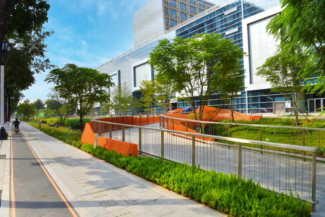 重生之河 | 广州大坦沙岛“蓝色命脉”的生态复兴-64